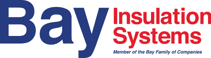 Bayinssystems Logo 700x195